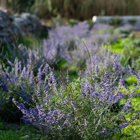 Casa Di Nikolas Naxos