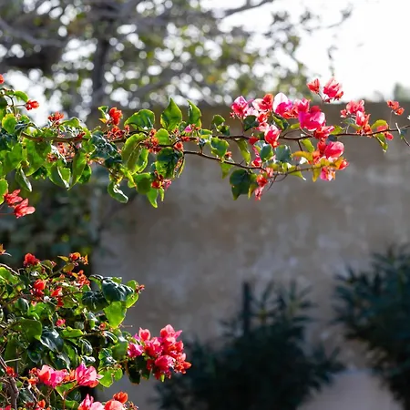 Casa Di Nikolas Naxos *