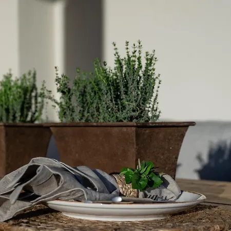 Casa Di Nikolas Naxos Βίλα Πλάκα