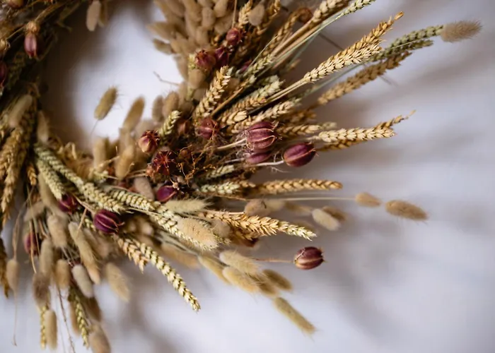 Casa Di Nikolas Naxos Πλάκα