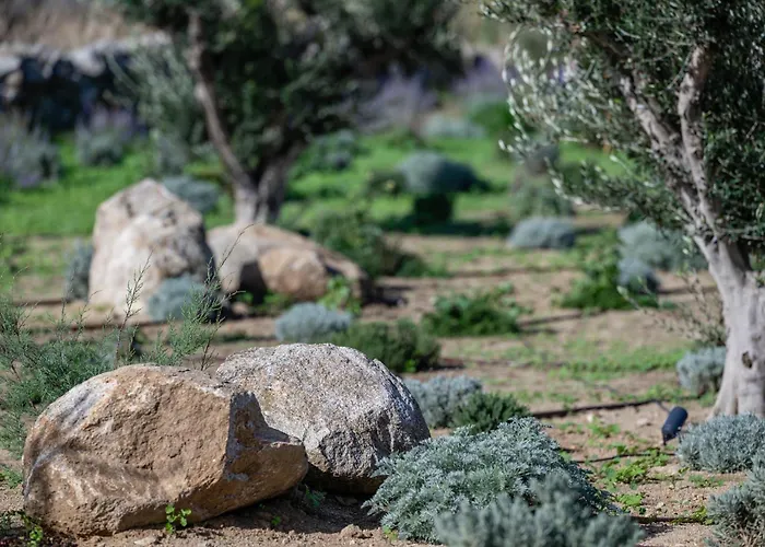 Casa Di Nikolas Naxos Βίλα Πλάκα