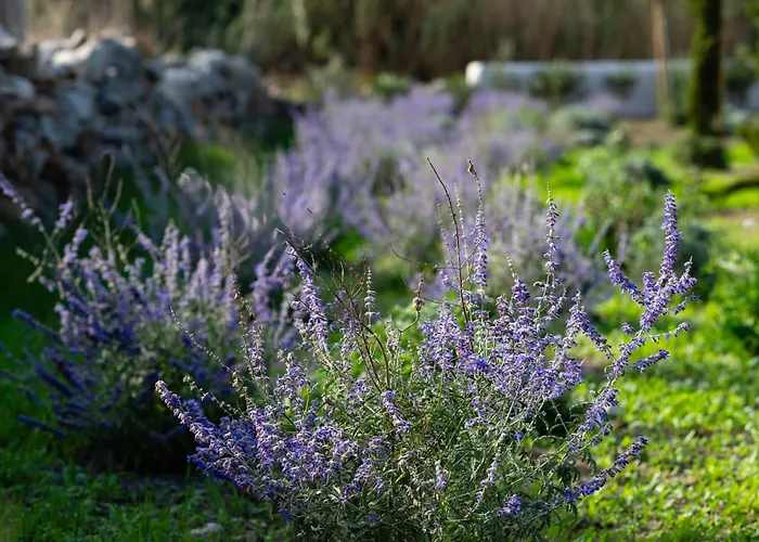 Casa Di Nikolas Naxos